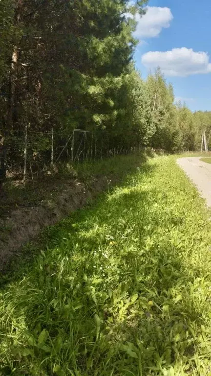 Участок в Калужская область, Тарусский район, Похвиснево с/пос, ... - Фото 0