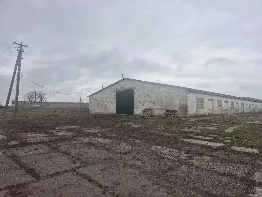 Помещение свободного назначения в Краснодарский край, Северский район, ... - Фото 1