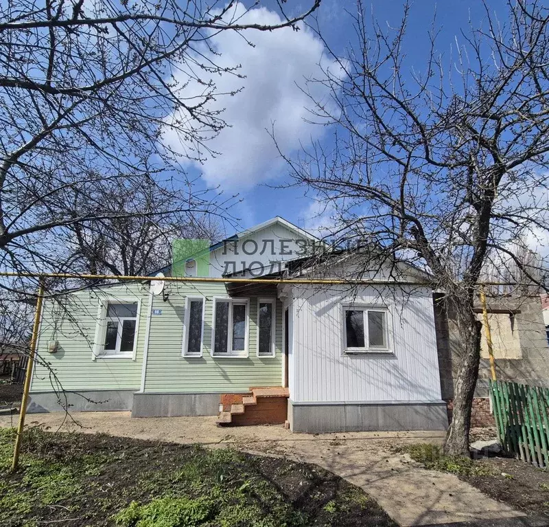 Дом в Тамбовская область, Токаревка рп просп. Революции, 98 (60 м) - Фото 0