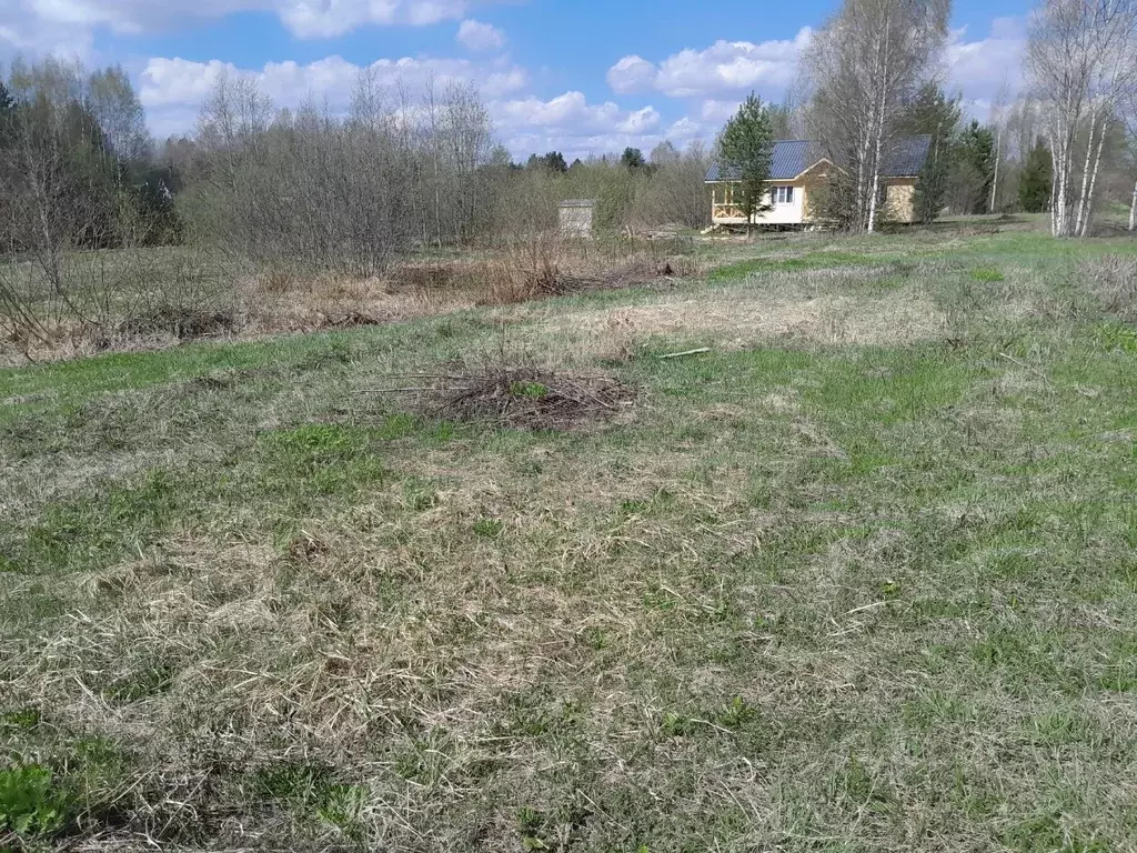 Участок в Вологодская область, Шекснинский муниципальный округ, СОТ ... - Фото 1