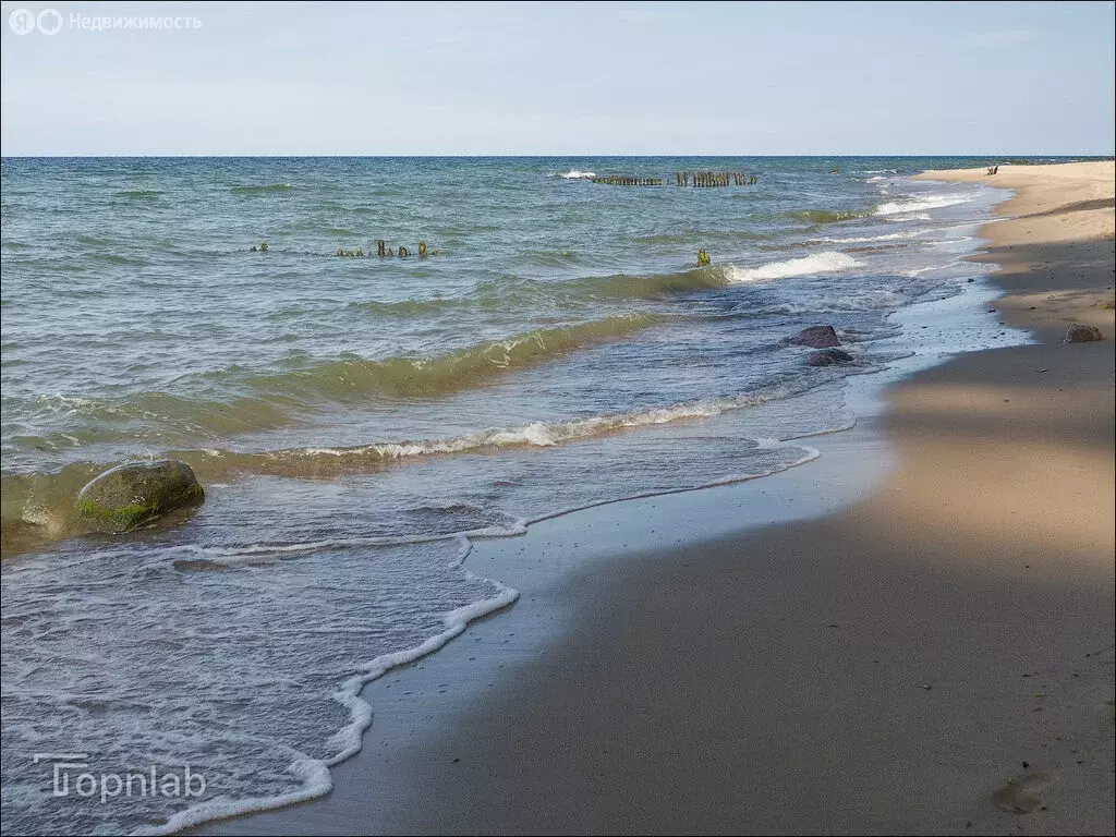 Участок в Лесное, Янтарная улица (15 м) - Фото 2