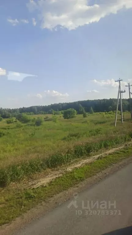 Участок в Тверская область, Зубцовский муниципальный округ, Алмаз СНТ ... - Фото 1