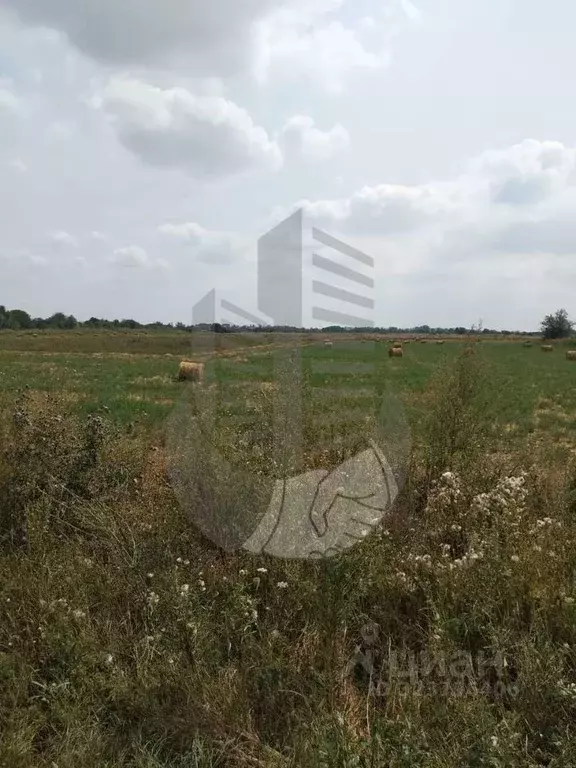 Участок в Краснодарский край, Ленинградская ст-ца  (30000.0 сот.) - Фото 0