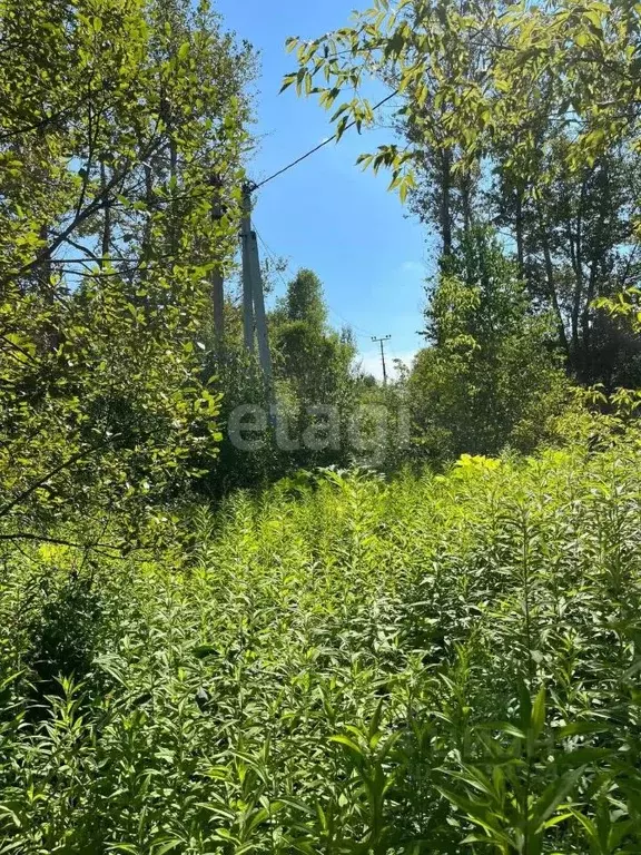 Участок в Калужская область, Козельский муниципальный округ, Деревня ... - Фото 2