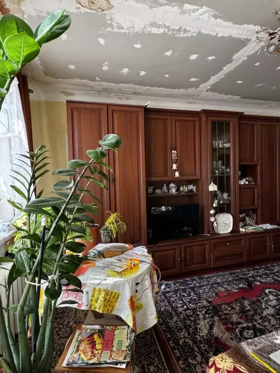 3-к кв. Московская область, Коломна Зеленая ул., 24 (55.0 м) - Фото 2