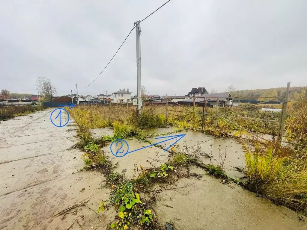 Участок в Московская область, Домодедово городской округ, д. Голубино ... - Фото 2