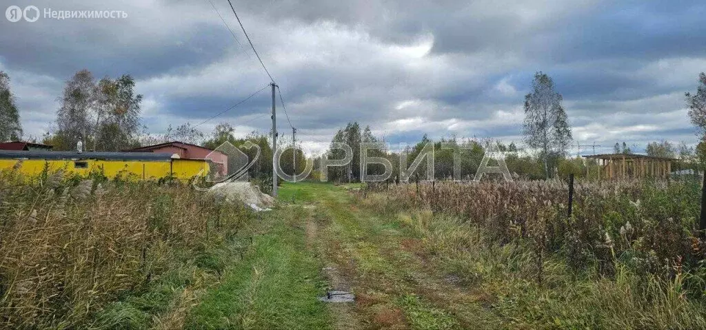 Участок в Нижнетавдинский район, товарищество собственников ... - Фото 1