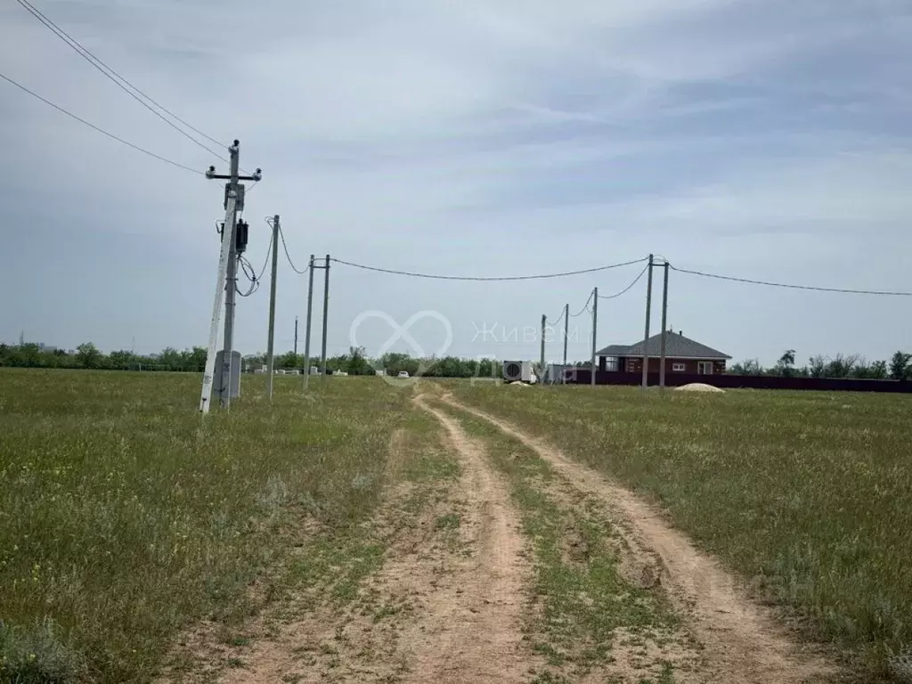 Участок в Волгоградская область, Городищенский район, Царицынское ... - Фото 1