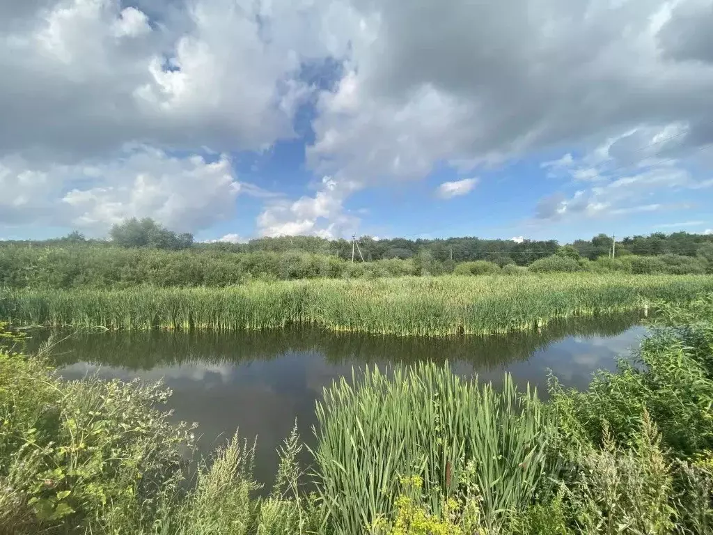Участок в Башкортостан, Уфимский район, с. Дмитриевка ул. Посадская, 1 ... - Фото 1