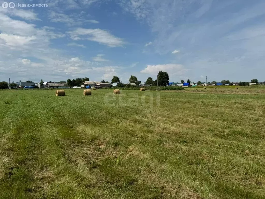 Участок в Стерлитамакский район, Казадаевский сельсовет, село Новое ... - Фото 1
