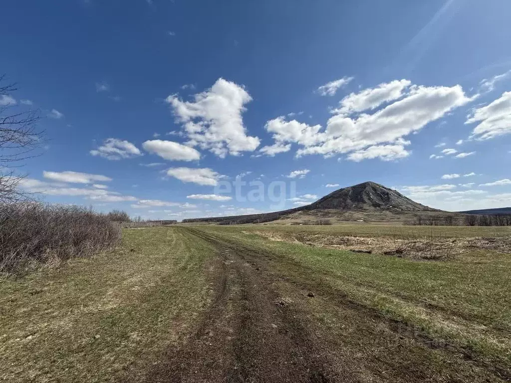 Участок в Башкортостан, Ишимбайский район, Урман-Бишкадакский ... - Фото 0