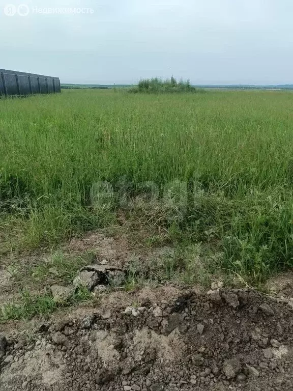 Участок в Амурская область, Благовещенский муниципальный округ, село ... - Фото 0