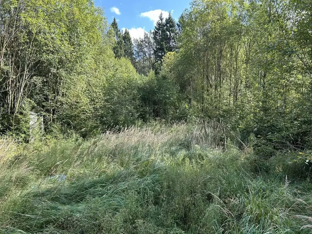 Дом в Московская область, Клин городской округ, д. Давыдково  (80 м) - Фото 1