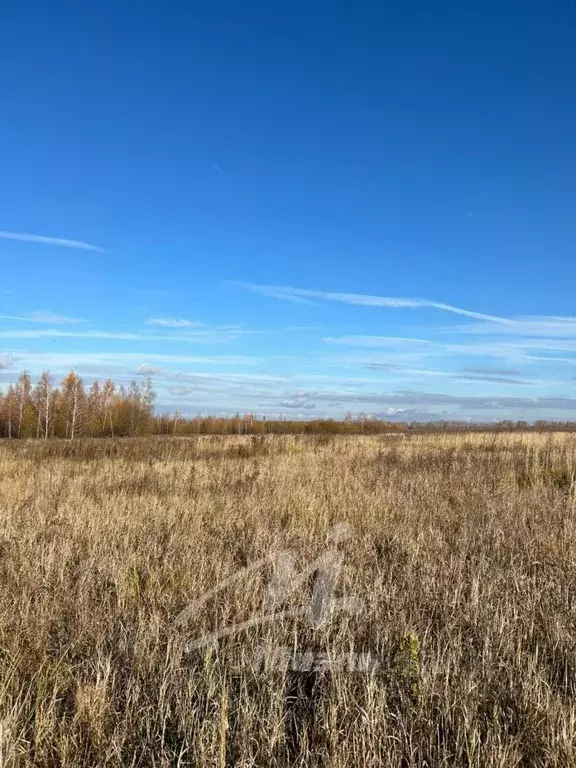 Участок в Московская область, Серебряные Пруды городской округ, д. ... - Фото 1