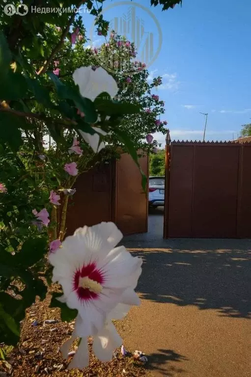 Дом в Ессентуки, улица Гаевского, 130Б (110 м) - Фото 1