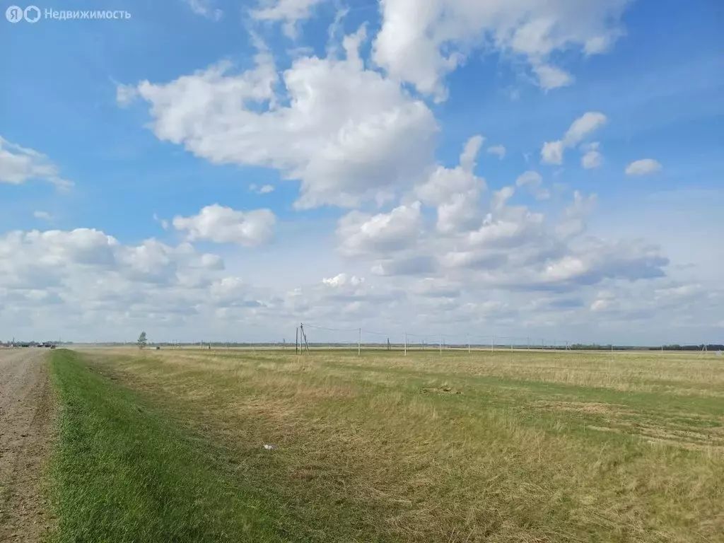 Участок в Толмачёвский сельсовет, деревня Алексеевка (9 м) - Фото 1
