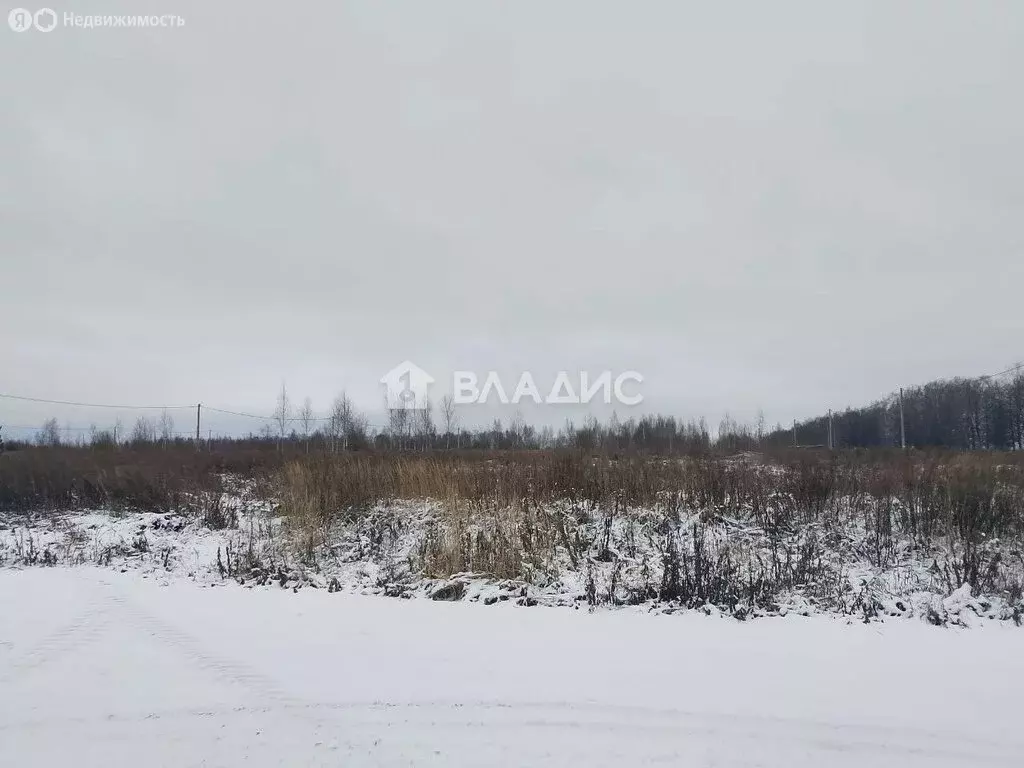 Участок в городской округ Нижний Новгород, село Безводное (10 м) - Фото 2