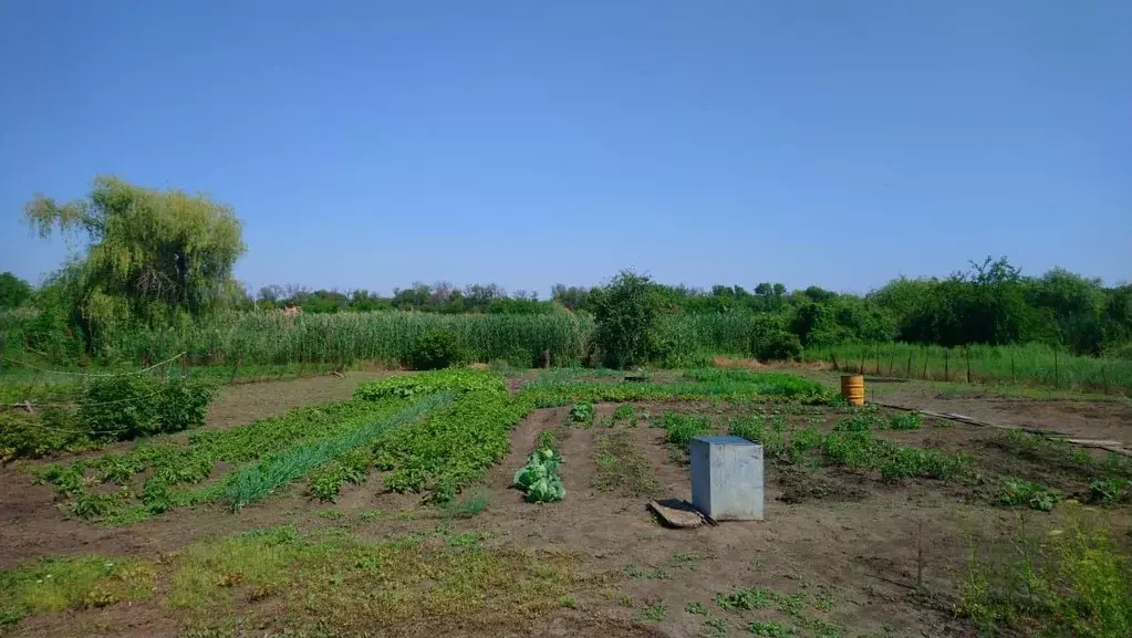 Участок в Краснодарский край, Динской район, Новотитаровское с/пос, ... - Фото 2