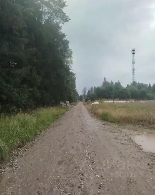 Участок, 8 сот., 0 - Фото 2