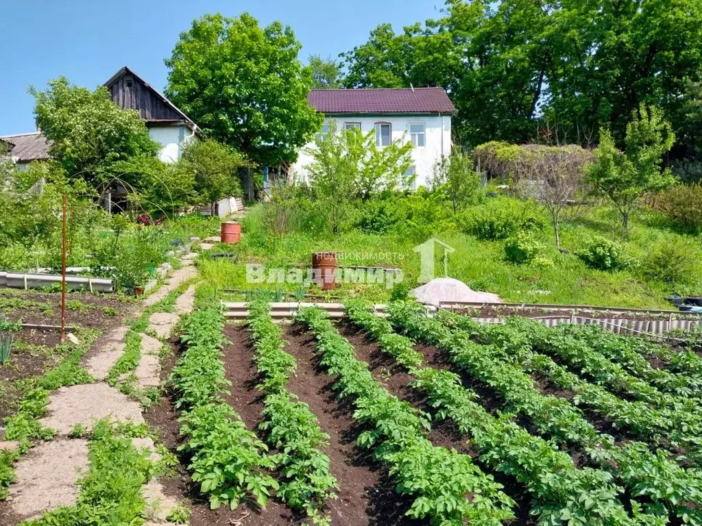 Дом в Приморский край, Находка Горная ул., 105 (92 м) - Фото 0