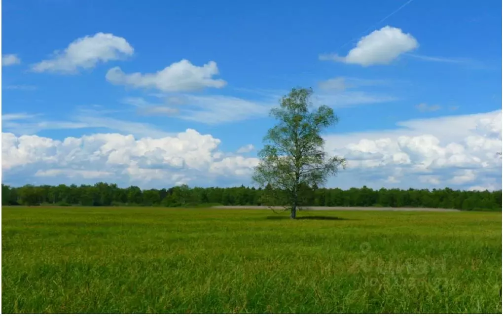 Участок в Омская область, Омский район, с. Надеждино Новая ул., 37 ... - Фото 1