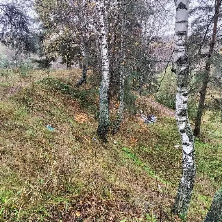 Участок в Московская область, Истра муниципальный округ, д. Лешково  ... - Фото 2