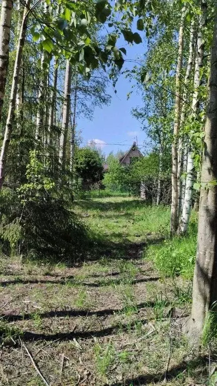 Участок, 6 сот., сельхоз (снт или днп) - Фото 0