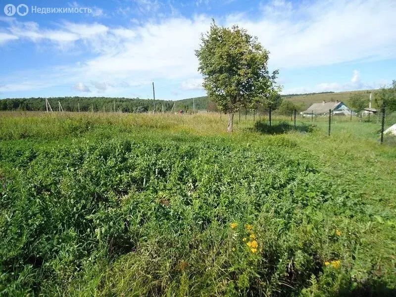 Участок в Годуново, Новлянская улица (12 м) - Фото 1