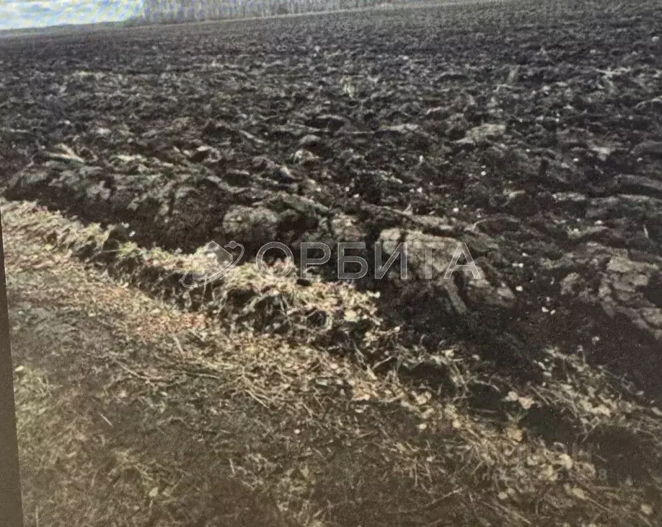 Участок в Тюменская область, Тюменский муниципальный округ, ... - Фото 2