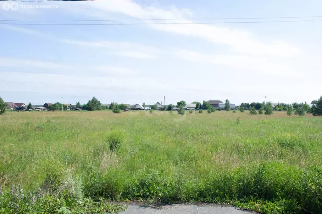 Участок в село Новая Заимка, улица Ленина (15 м) - Фото 2