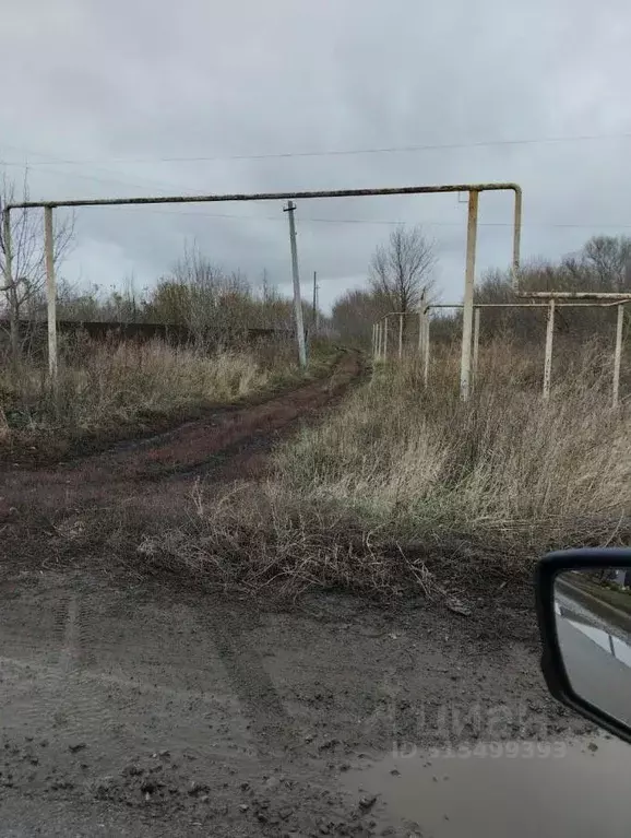 Дом в Воронежская область, Новоусманский район, с. Рогачевка ул. ... - Фото 0