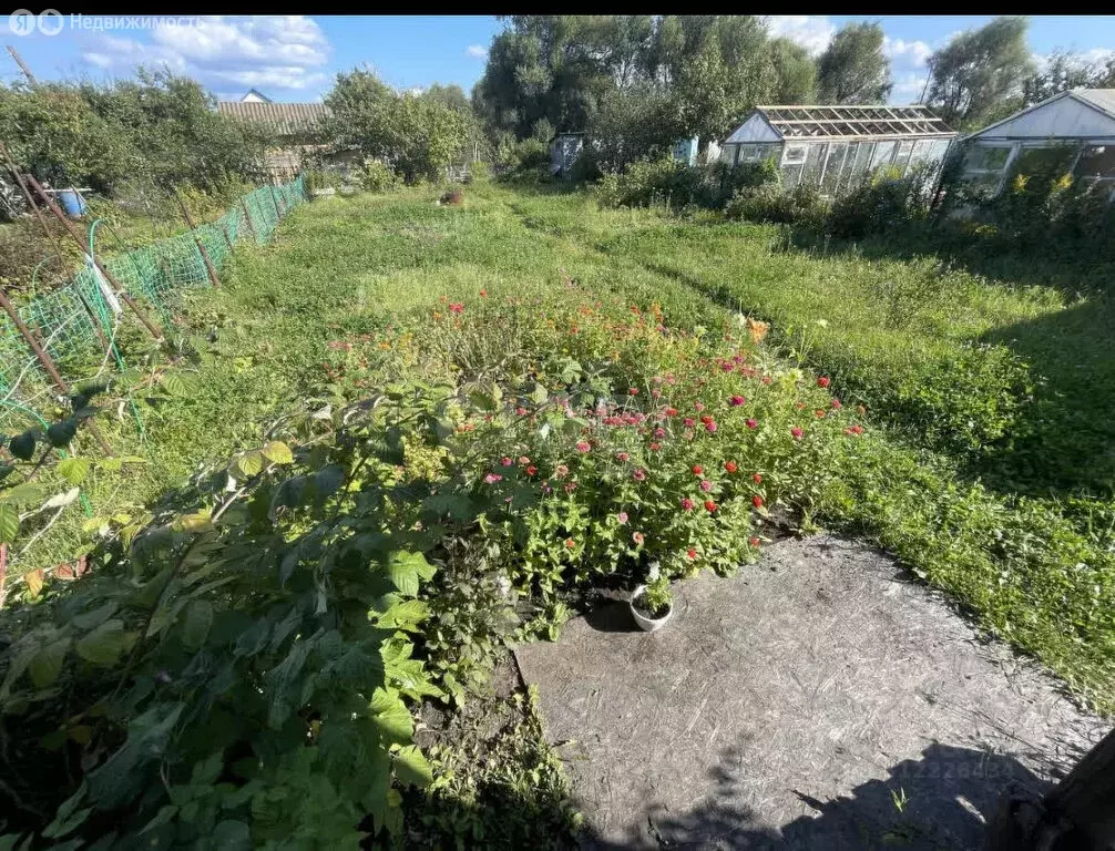 Участок в Тамбов, СНТ Капустное Озеро-5 (3.79 м) - Фото 1