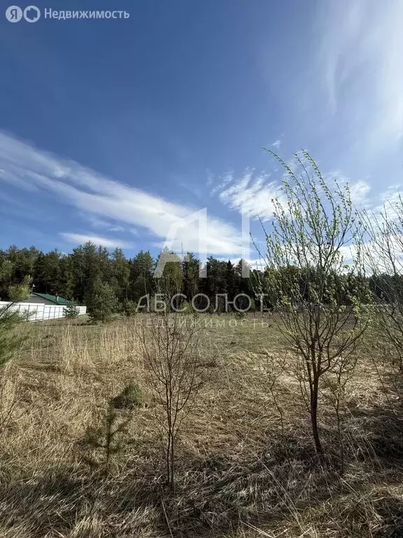 Участок в Московская область, городской округ Щёлково, деревня Вторая ... - Фото 2