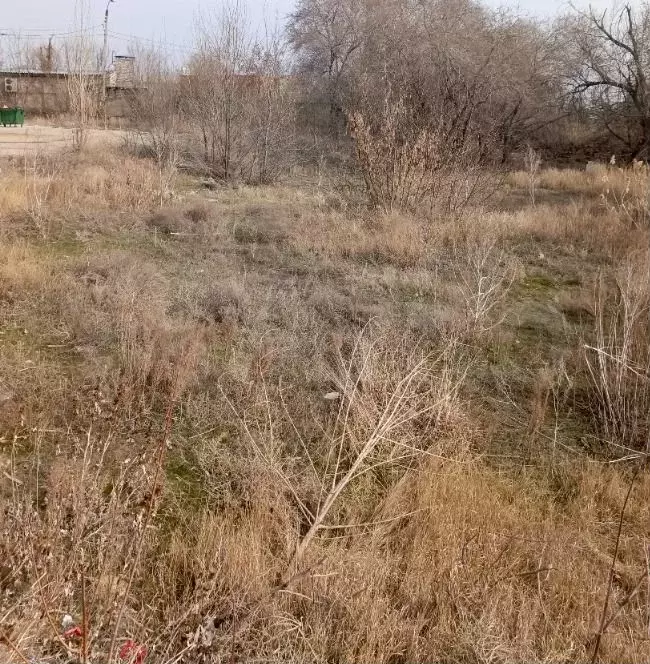 Участок 8,1 сот. (ИЖС) - Фото 0