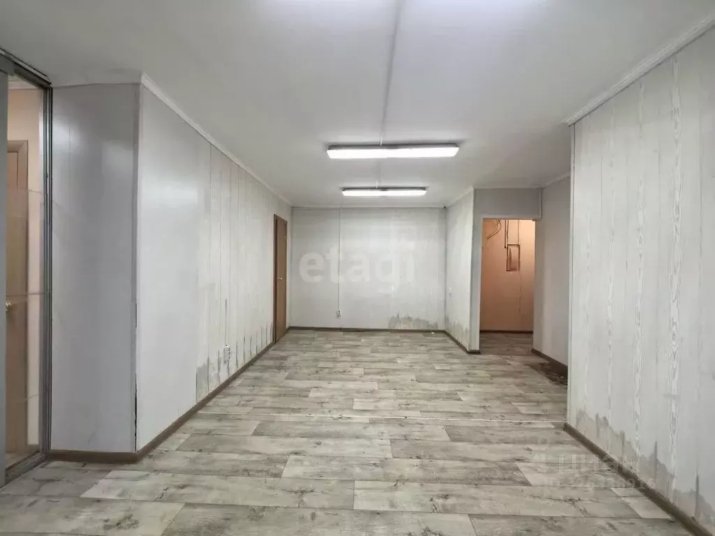 Помещение свободного назначения в Камчатский край, Елизовский ... - Фото 2