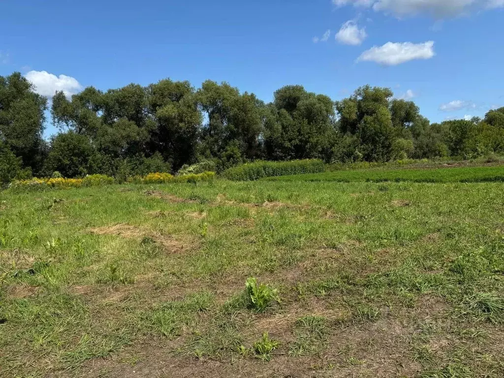 Участок в Орловская область, Мценский район, Подберезовское с/пос, ... - Фото 1