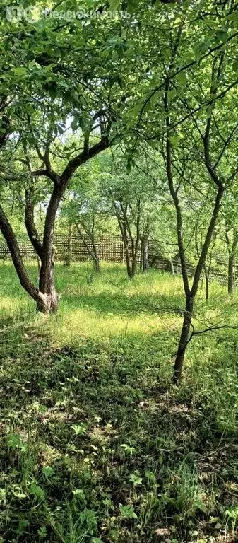 Дом в деревня Харское, 20 (56 м) - Фото 0