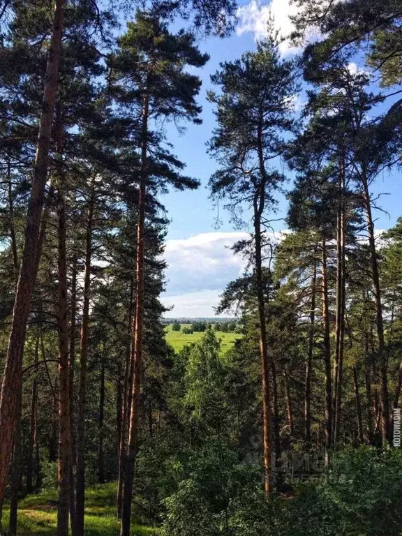 Участок в Рязанская область, Спасский район, Ижевское с/пос, с. ... - Фото 1