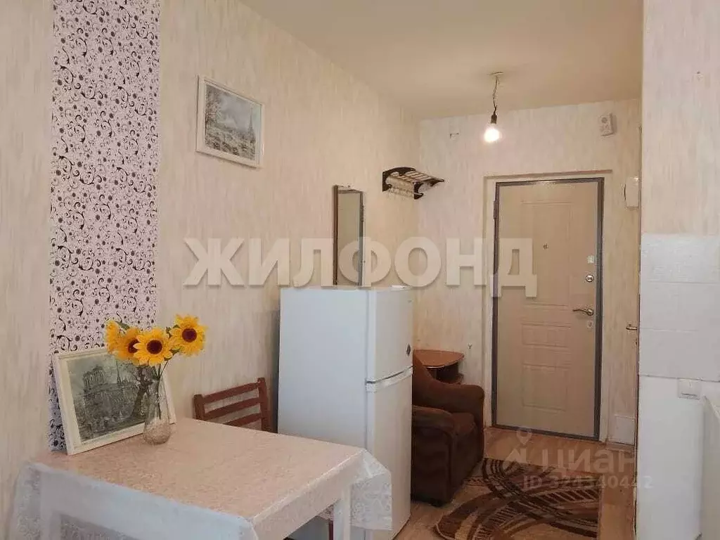 1-к кв. Новосибирская область, Новосибирск ул. Титова, 257 (18.3 м) - Фото 2