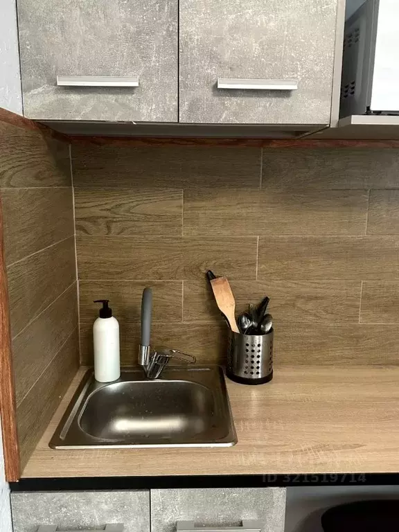 Студия Московская область, Раменское пос. Красный Октябрь, 23 (21.0 м) - Фото 2