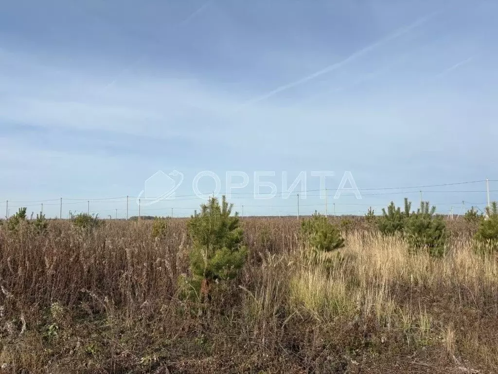 Участок в Тюменская область, Тюменский муниципальный округ, д. ... - Фото 1