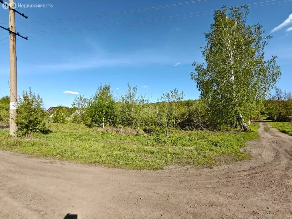 Участок в Новокузнецк, СНТ Зеленчиха (14.62 м) - Фото 1