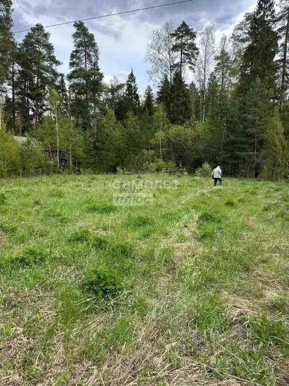 Участок в Московская область, Черноголовка Крона СНТ, 26А (11.2 сот.) - Фото 0