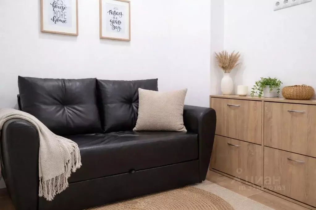 Студия Московская область, Одинцово ул. Каштановая, 8 (15.0 м) - Фото 1