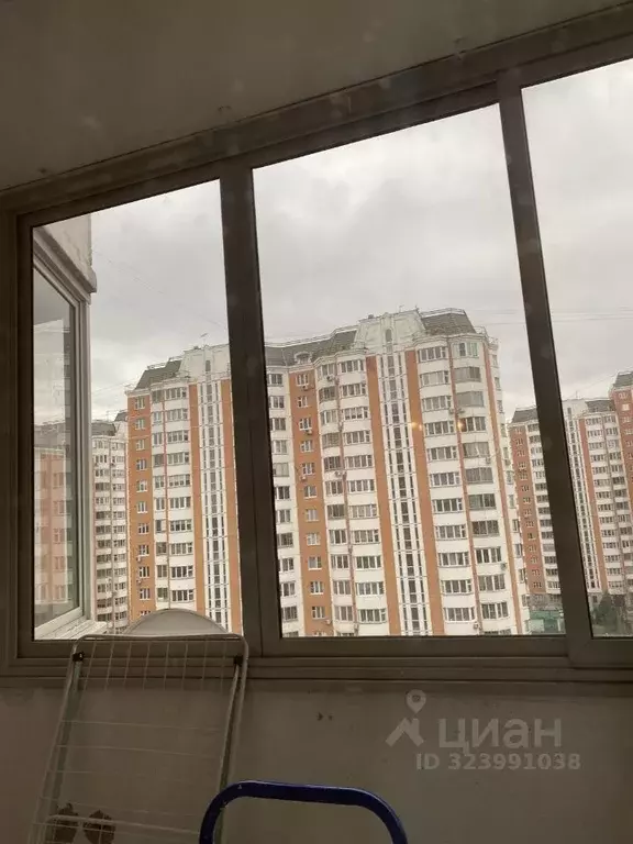 2-к кв. Московская область, Солнечногорск городской округ, Голубое пгт ... - Фото 2