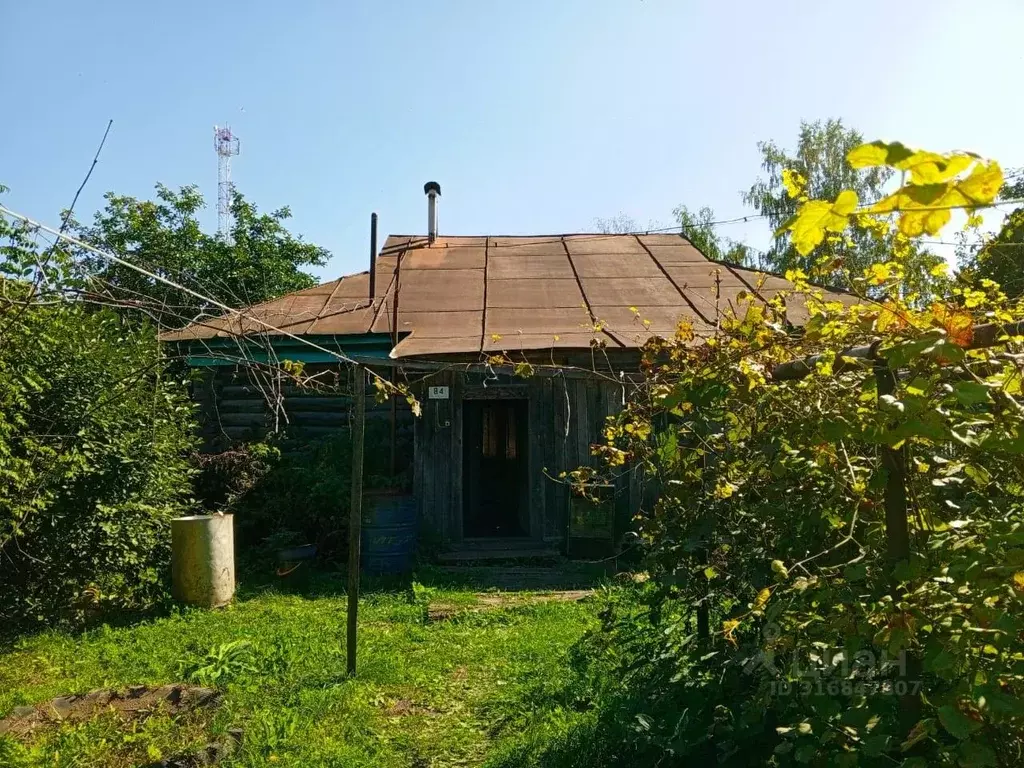 Дом в Нижегородская область, с. Большое Болдино ул. Красная, 84 (100 ... - Фото 1