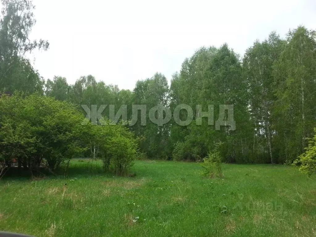 Участок в Новосибирская область, Искитимский район, Совхозный ... - Фото 1