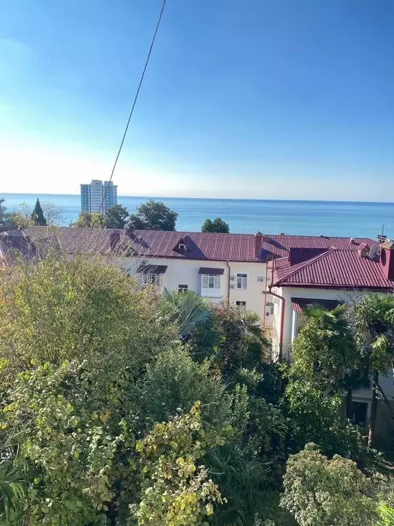 1-к кв. Краснодарский край, Сочи Бытха мкр, ул. Ясногорская, 13 (40.0 ... - Фото 2