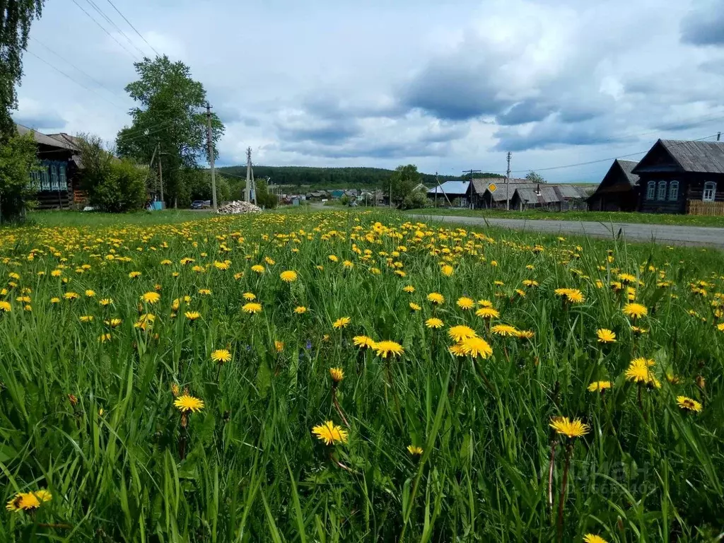 Участок в Свердловская область, Режевской городской округ, с. Арамашка ... - Фото 0