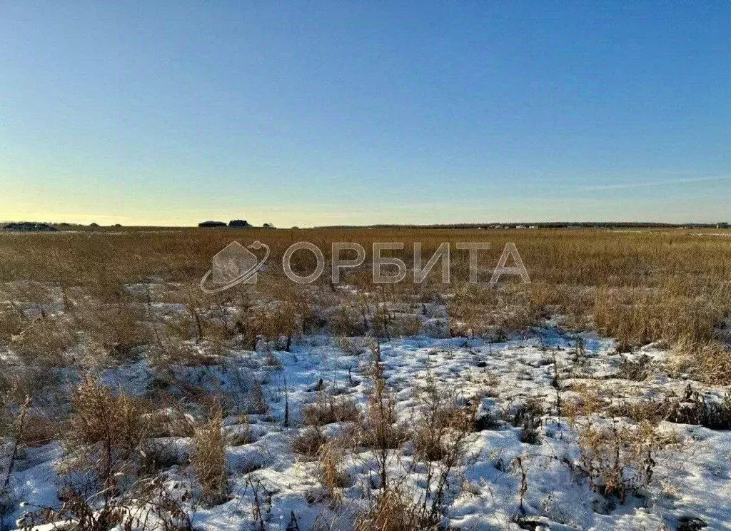 Участок в Тюменская область, Тюменский район, Новокаменский кп ул. ... - Фото 0